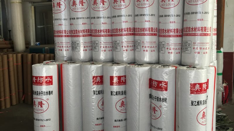 别墅卫生间防水施工，价格如何？揭秘施工细节与成本构成**